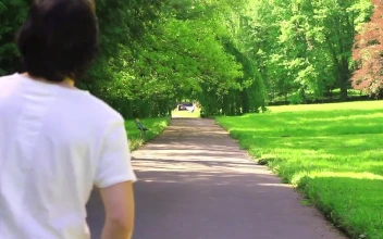Free Stock Video Walking Through A Sunny Park In Nature