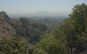 Free Stock Video Walking An Arid Hill Among Its Trees