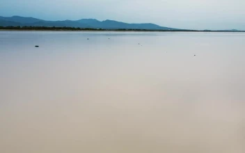 Free Stock Video Walking A Plain Of Sand Covered With Water