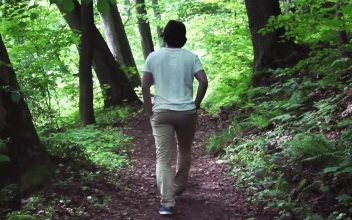 Free Stock Video Walk Through A Forest With A Lot Of Vegetation