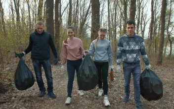 Free Stock Video Volunteers With Garbage Bags In The Forest