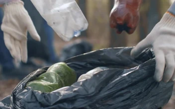 Free Stock Video Volunteers Recycling Plastic And Glass Bottles