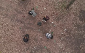 Free Stock Video Volunteers Picking Up Trash In Nature