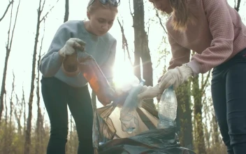 Free Stock Video Volunteers Cleaning Up Garbage In A Forest