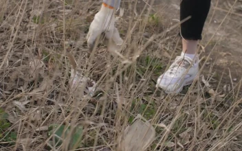 Free Stock Video Volunteer Picking Up Trash From The Grass