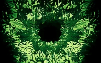 Free Stock Video Virtual Tunnel Between Green Tropical Plants