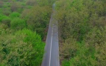 Free Stock Video Vintage Car Heading Down A Forest Road