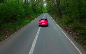 Free Stock Video Vintage Car Driving Between Trees