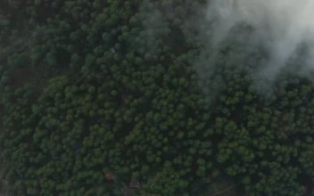 Free Stock Video View High Above A Large Forest Through The Clouds Small