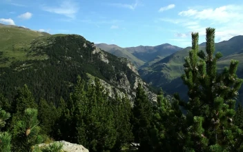 Free Stock Video View Of A Landscape From The Top Of A Mountain