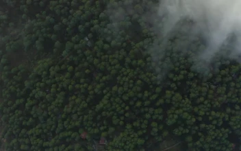Free Stock Video View High Above A Large Forest Through The Clouds