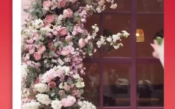 Free Stock Video Vertical Love Story