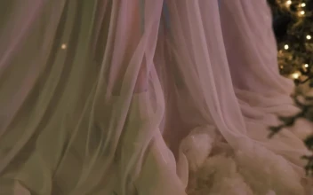Free Stock Video Veil Of A Girls Dress Among Christmas Trees