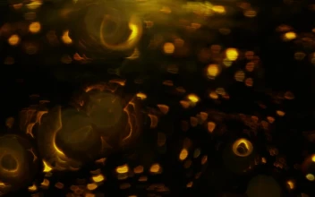 Free Stock Video Unfocused Lights On Background