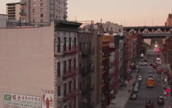 Free Stock Video Typical New York Chinatown Street
