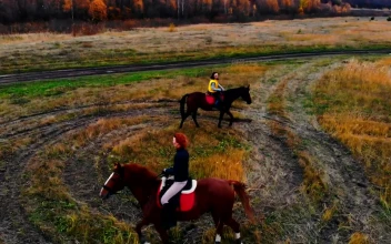 Free Stock Video Two People Riding In Circles In Nature