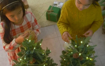 Free Stock Video Two Girls Decorating A Christmas Tree 42066
