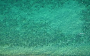 Free Stock Video Turquoise Sea Texture From An Aerial Shot