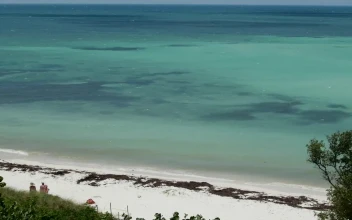Free Stock Video Turquoise Blue Sea Seen From The Heights