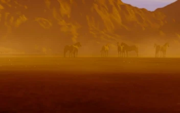 Free Stock Video Truck Passing By Some Wild Horses In The Desert