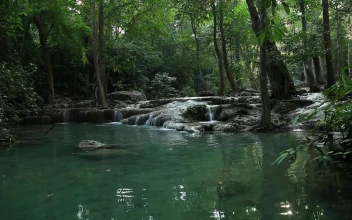 Free Stock Video Tropical River And Waterfalls