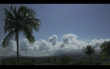 Free Stock Video Tropical Nature Landscape