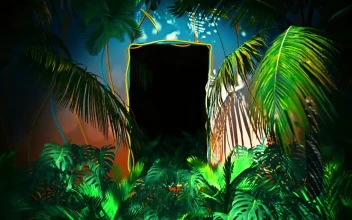Free Stock Video Tropical Corridor Between Beach Plants