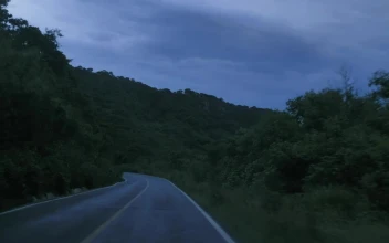 Free Stock Video Traveling On A Nature Road At Dusk