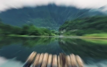 Free Stock Video Zoom Backwards Transition
