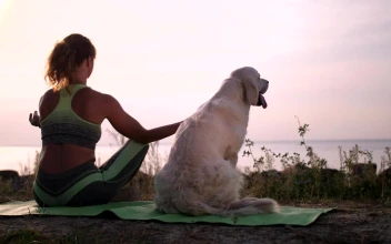 Free Stock Video Young Woman Meditating With Her Dog Aside Near Sea