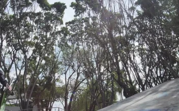 Free Stock Video Young Skateboarder Getting On The Skateboard With A Pirouette