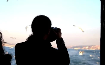 Free Stock Video Young Person Taking Pictures Of Seagulls
