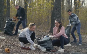 Free Stock Video Young People Recycling Garbage