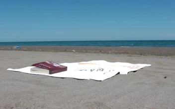 Free Stock Video Young Man Reading A Book Lying On The Beach