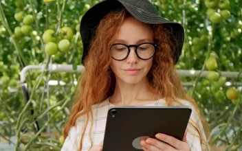 Free Stock Video Young Farmer Using Her Tablet At A Greenhouse