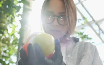 Free Stock Video Young Farmer Checking Vegetables With A Magnifying Glass
