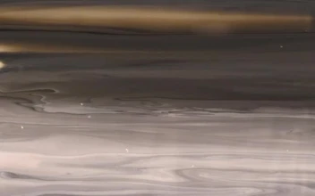 Free Stock Video Wood Texture Of Metallic Liquid