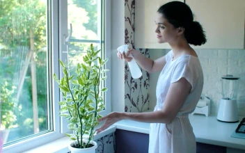 Free Stock Video Woman Watering A Plant In Her Kitchen