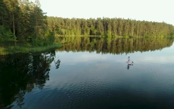 Free Stock Video Woman Wandering In Nature On A Paddleboard