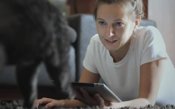 Free Stock Video Woman Using Tablet And Teasing Her Cat