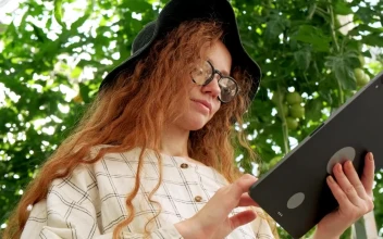 Free Stock Video Woman Using A Tablet At A Greenhouse