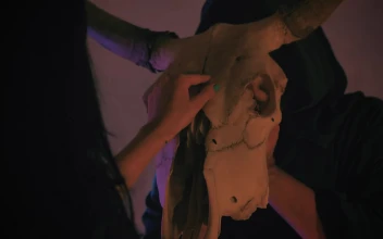 Free Stock Video Woman Touches The Skull Of A Bull Held By A