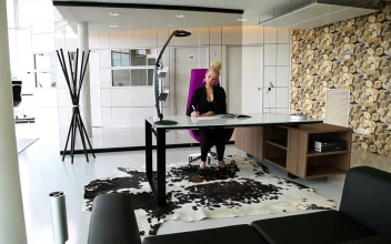 Free Stock Video Woman Receiving Two Men In Her Office