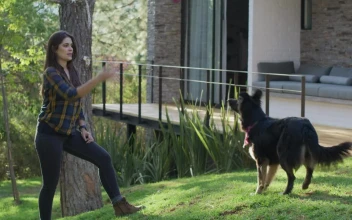 Free Stock Video Woman Playing With A Dog In A Garden