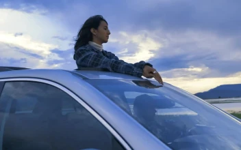 Free Stock Video Woman In Sunroof On A Road Trip Through Nature