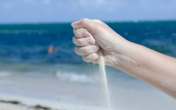 Free Stock Video Woman Holding Dry Sand