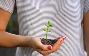 Free Stock Video Woman Holding A Small Plant In Her Hands