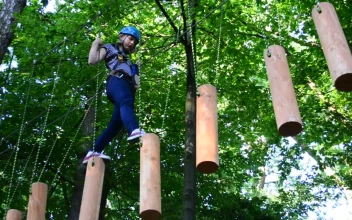 Free Stock Video Woman Crossing An Obstacle Bridge In Nature