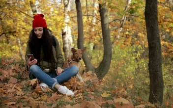 Free Stock Video Woman Checking Her Phone While Walking Her Dog