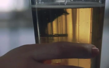 Free Stock Video Woman And Her Glass Of Beer